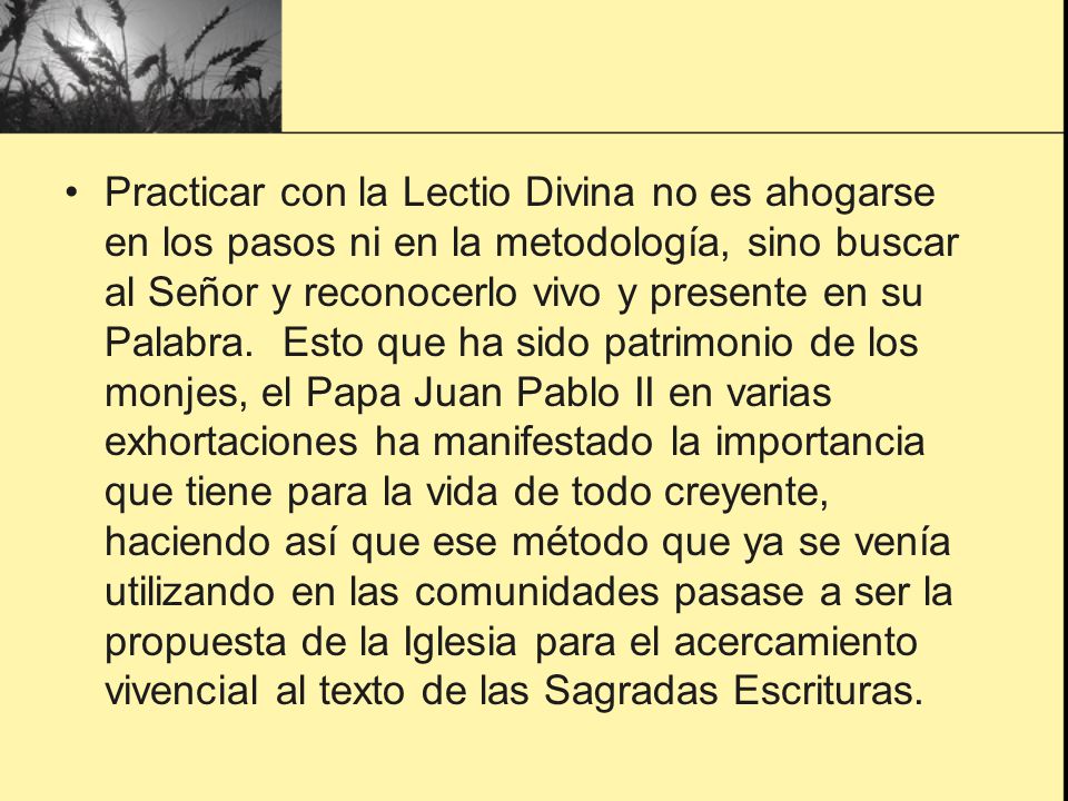 Practicar con la Lectio Divina no es ahogarse en los pasos ni en la metodología, sino buscar al Señor y reconocerlo vivo y presente en su Palabra.