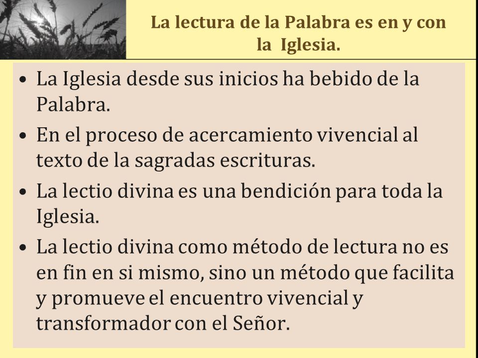 La lectura de la Palabra es en y con la Iglesia.
