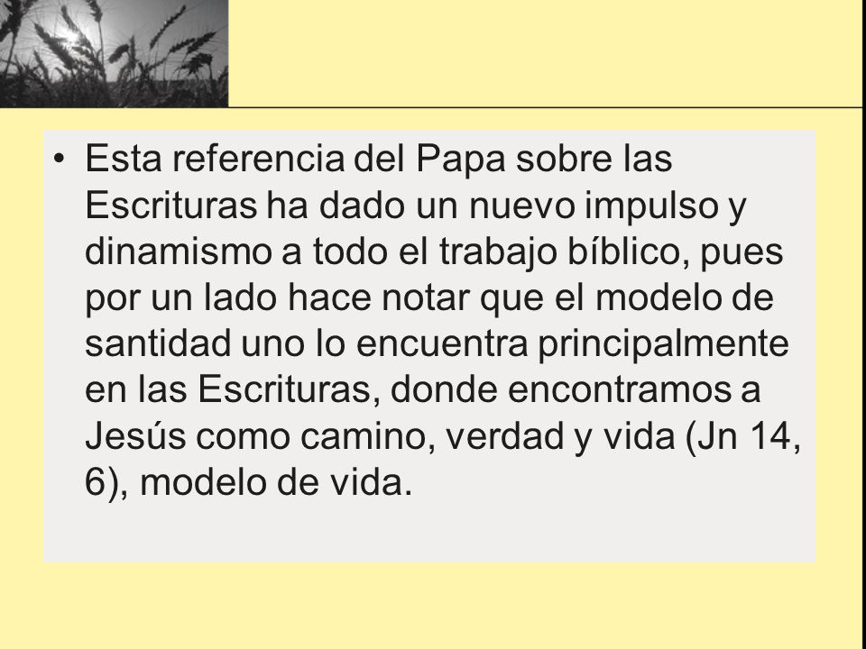 Esta referencia del Papa sobre las Escrituras ha dado un nuevo impulso y dinamismo a todo el trabajo bíblico, pues por un lado hace notar que el modelo de santidad uno lo encuentra principalmente en las Escrituras, donde encontramos a Jesús como camino, verdad y vida (Jn 14, 6), modelo de vida.