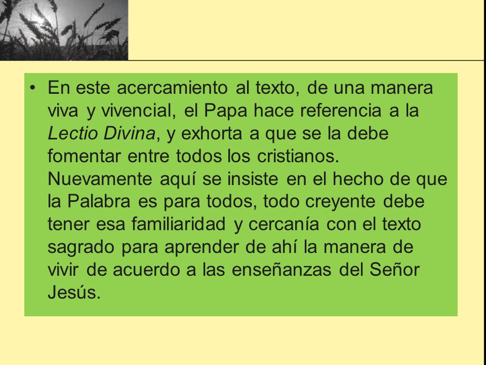En este acercamiento al texto, de una manera viva y vivencial, el Papa hace referencia a la Lectio Divina, y exhorta a que se la debe fomentar entre todos los cristianos.