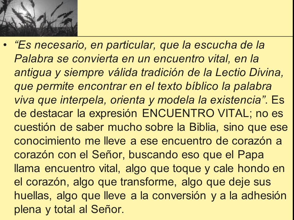 Es necesario, en particular, que la escucha de la Palabra se convierta en un encuentro vital, en la antigua y siempre válida tradición de la Lectio Divina, que permite encontrar en el texto bíblico la palabra viva que interpela, orienta y modela la existencia .