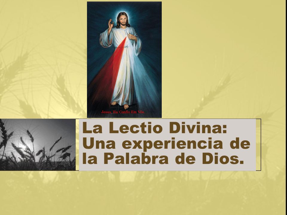 La Lectio Divina: Una experiencia de la Palabra de Dios.