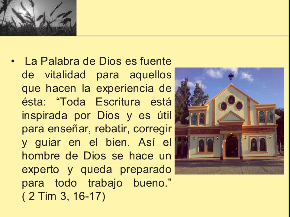 La Palabra de Dios es fuente de vitalidad para aquellos que hacen la experiencia de ésta: Toda Escritura está inspirada por Dios y es útil para enseñar, rebatir, corregir y guiar en el bien.