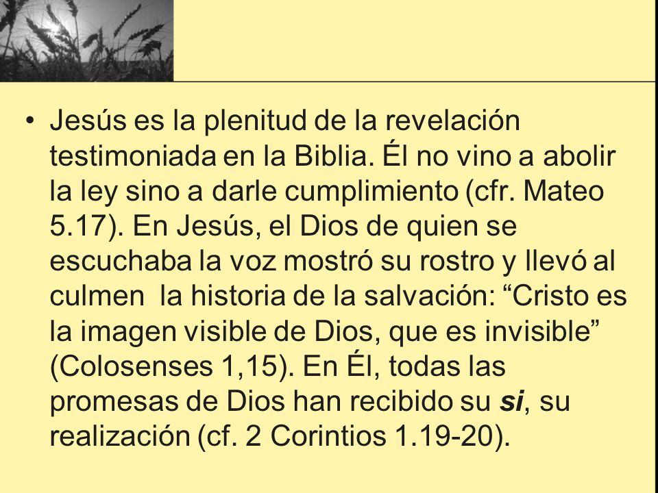 Jesús es la plenitud de la revelación testimoniada en la Biblia