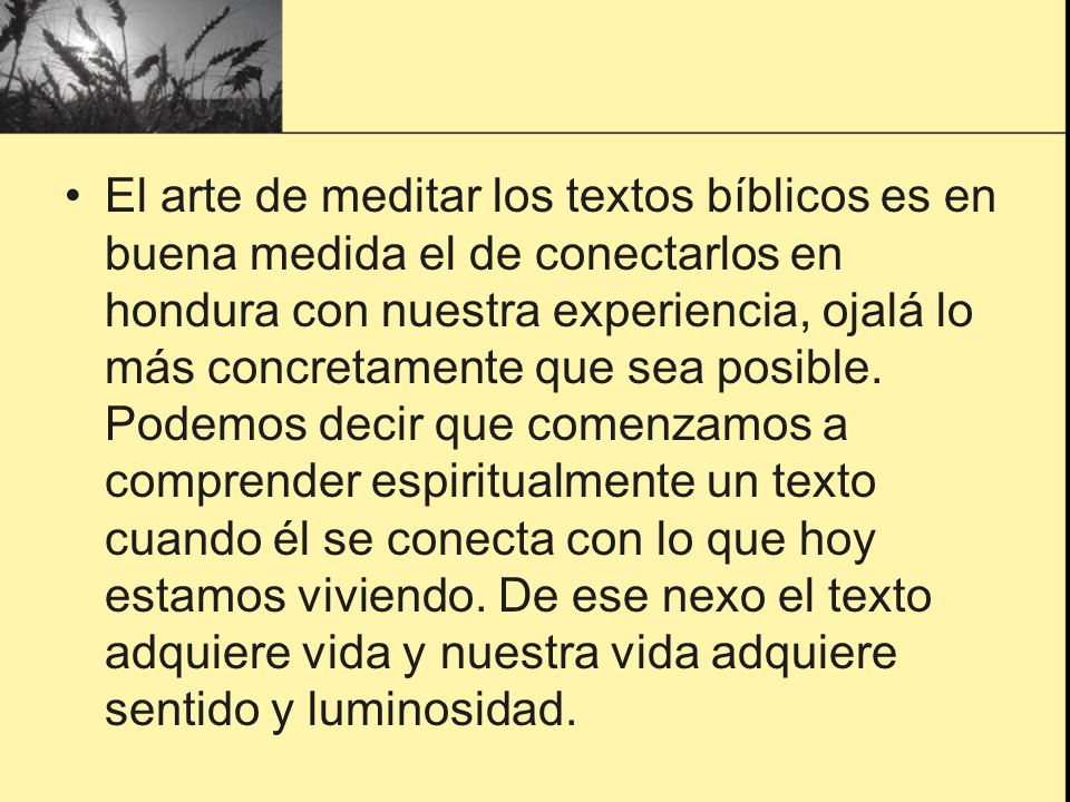 El arte de meditar los textos bíblicos es en buena medida el de conectarlos en hondura con nuestra experiencia, ojalá lo más concretamente que sea posible. Podemos decir que comenzamos a comprender espiritualmente un texto cuando él se conecta con lo que hoy estamos viviendo. De ese nexo el texto adquiere vida y nuestra vida adquiere sentido y luminosidad.