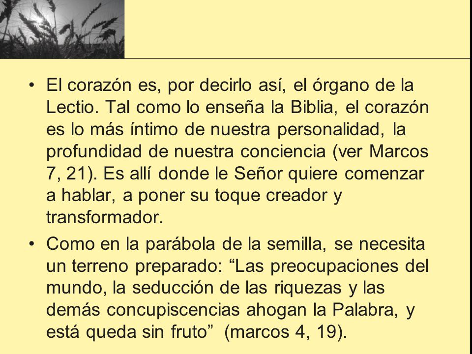 El corazón es, por decirlo así, el órgano de la Lectio