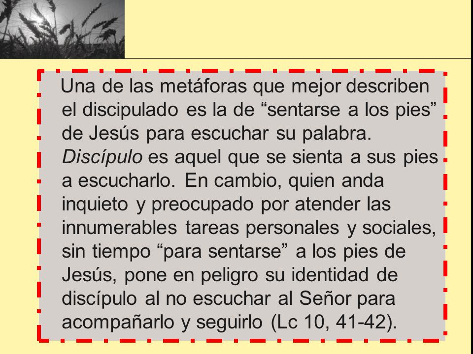Una de las metáforas que mejor describen el discipulado es la de sentarse a los pies de Jesús para escuchar su palabra. Discípulo es aquel que se sienta a sus pies a escucharlo. En cambio, quien anda inquieto y preocupado por atender las innumerables tareas personales y sociales, sin tiempo para sentarse a los pies de Jesús, pone en peligro su identidad de discípulo al no escuchar al Señor para acompañarlo y seguirlo (Lc 10, 41-42).