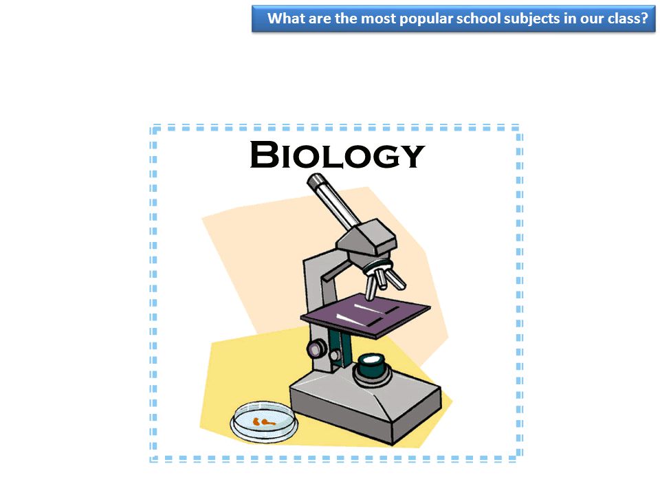 What are the most popular school subjects in our class