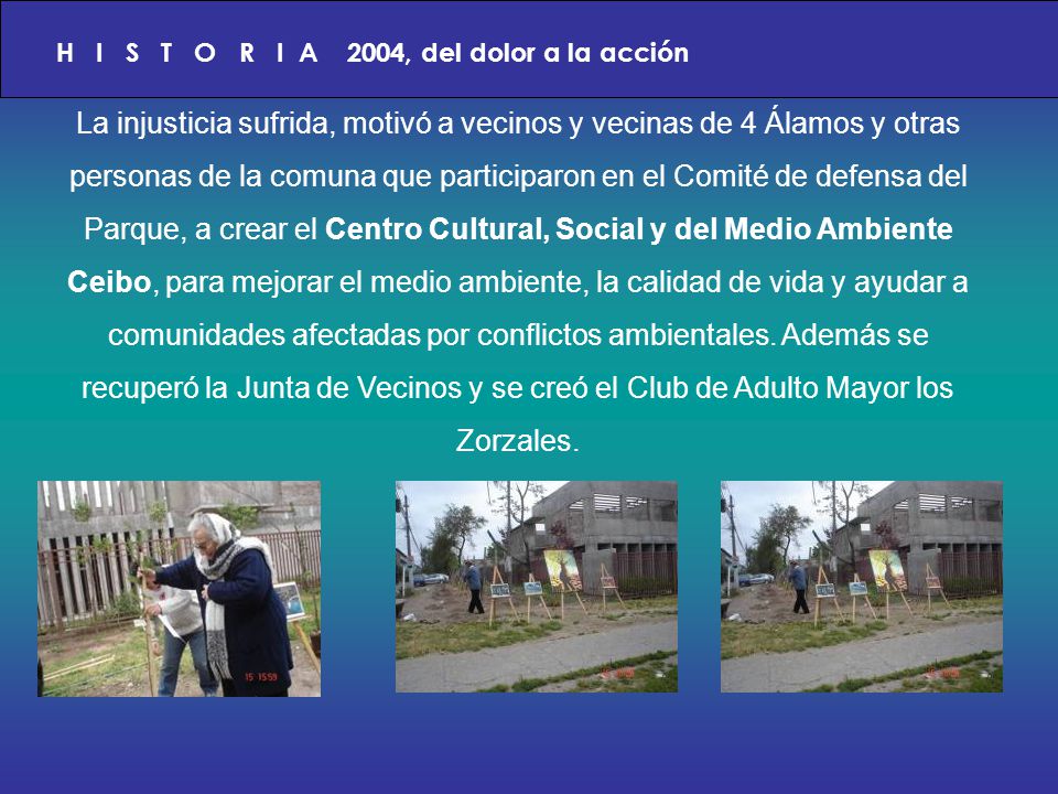 H I S T O R I A 2004, del dolor a la acción