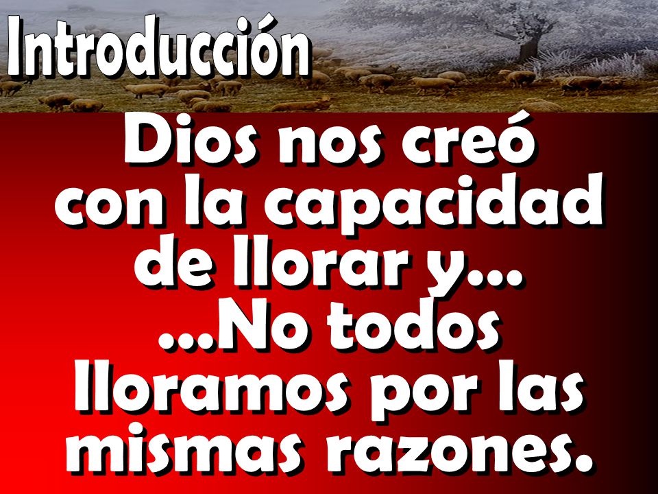 Dios nos creó con la capacidad de llorar y…