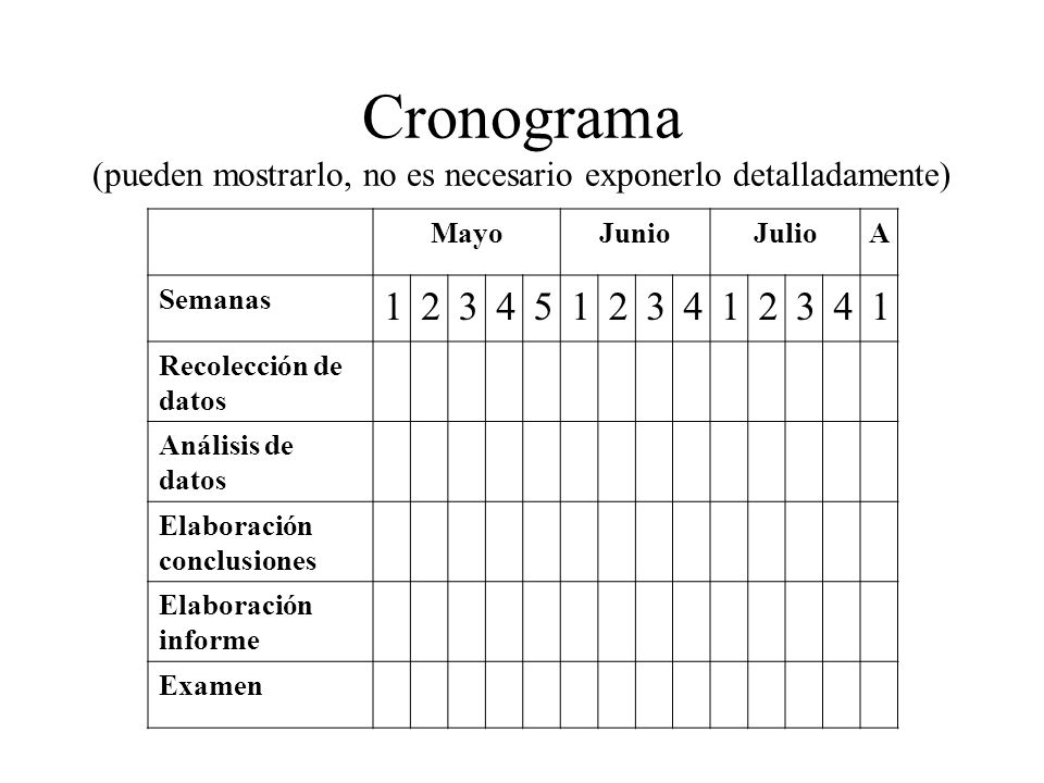 Cronograma (pueden mostrarlo, no es necesario exponerlo detalladamente)