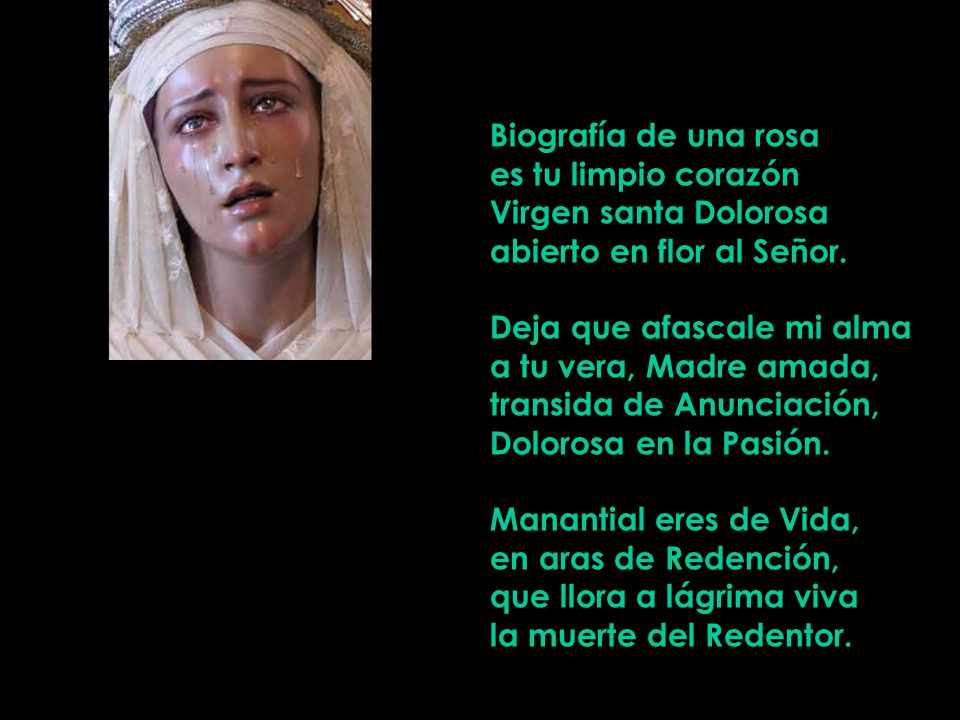 Biografía de una rosa es tu limpio corazón. Virgen santa Dolorosa. abierto en flor al Señor. Deja que afascale mi alma.