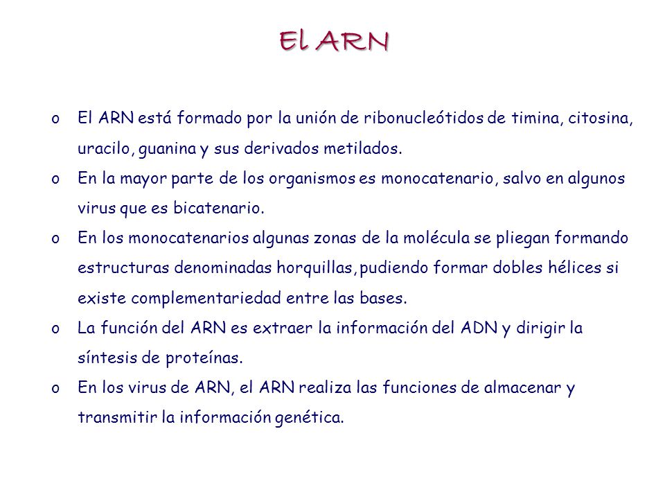 El ARN El ARN está formado por la unión de ribonucleótidos de timina, citosina, uracilo, guanina y sus derivados metilados.