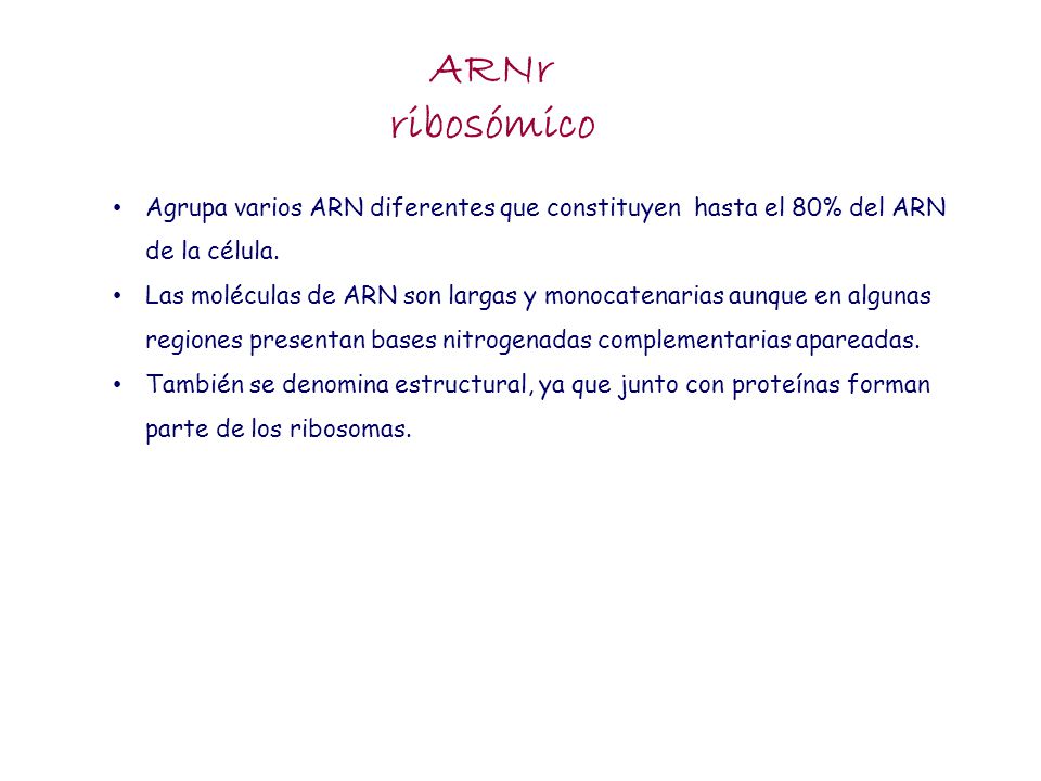 ARNr ribosómico. Agrupa varios ARN diferentes que constituyen hasta el 80% del ARN de la célula.