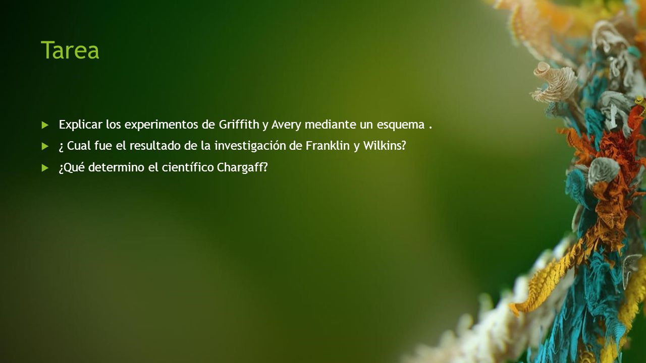 Tarea Explicar los experimentos de Griffith y Avery mediante un esquema . ¿ Cual fue el resultado de la investigación de Franklin y Wilkins