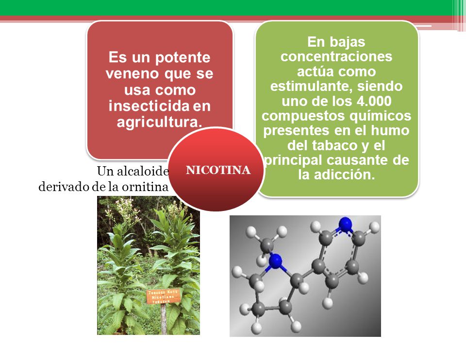 Es un potente veneno que se usa como insecticida en agricultura.