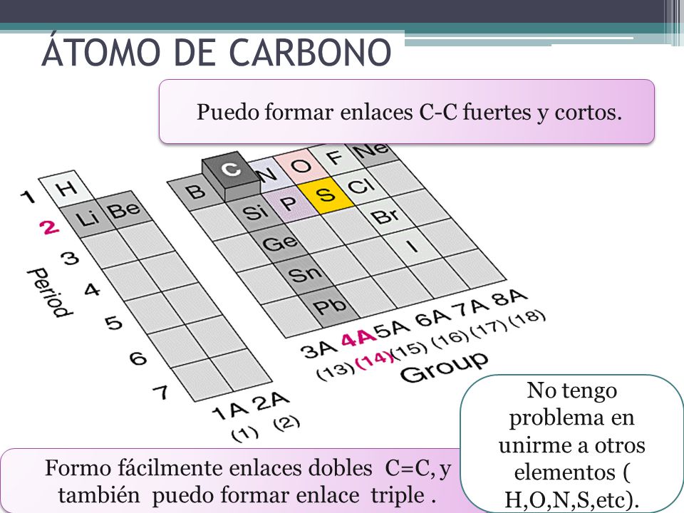 ÁTOMO DE CARBONO Puedo formar enlaces C-C fuertes y cortos.