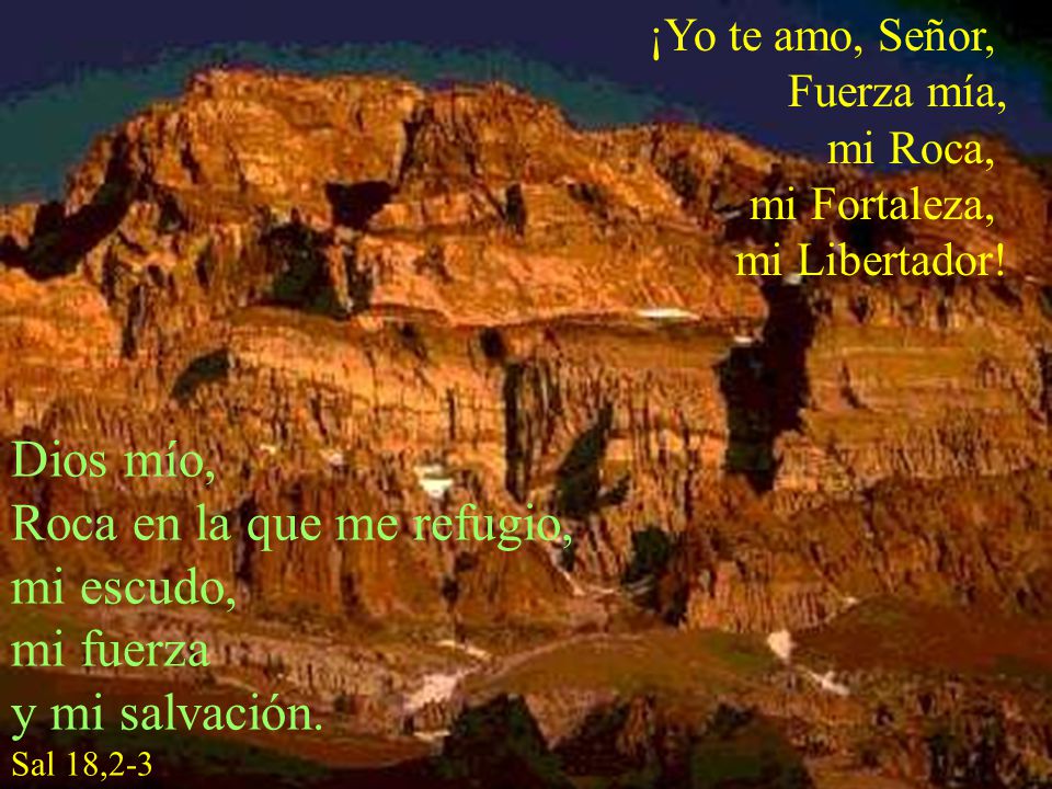 Roca en la que me refugio, mi escudo, mi fuerza y mi salvación.