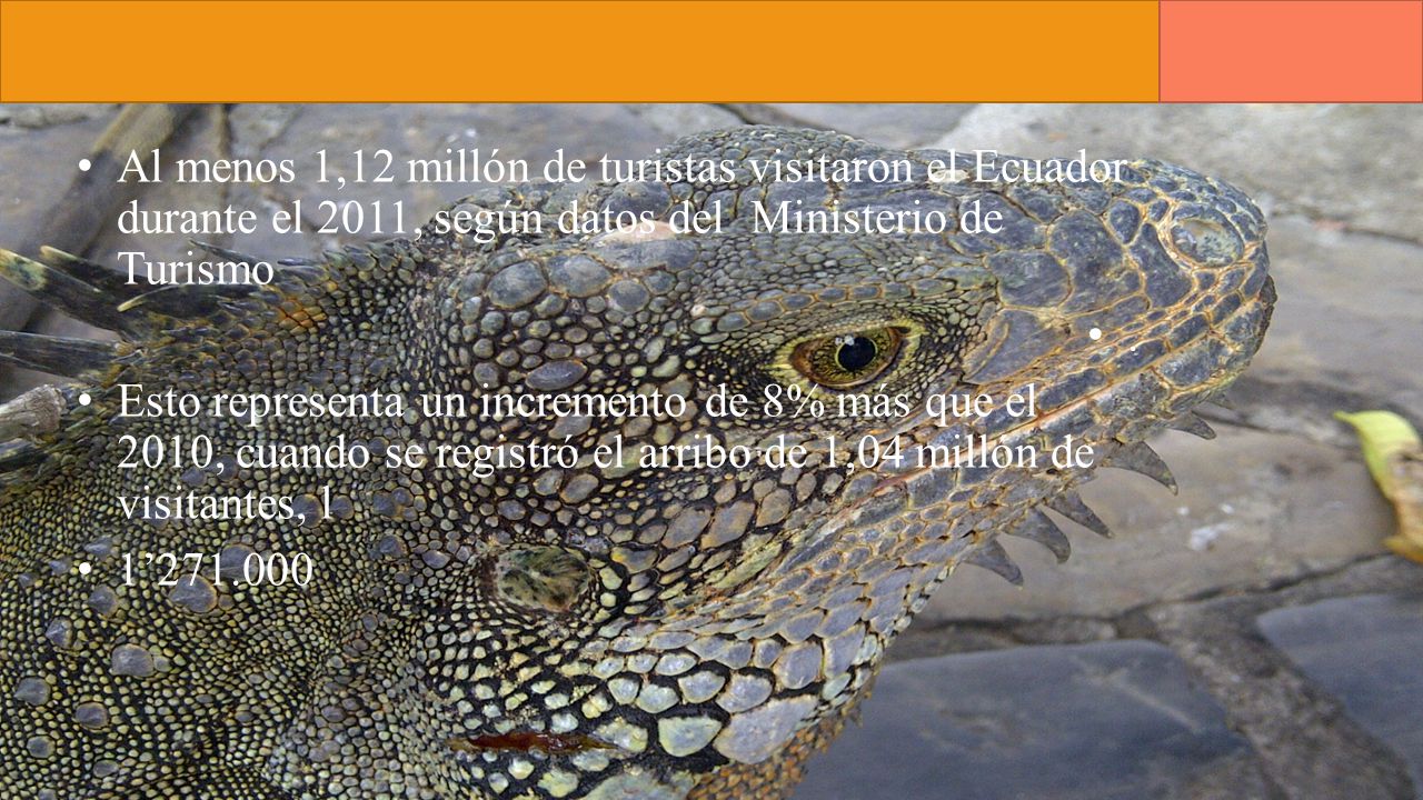 Al menos 1,12 millón de turistas visitaron el Ecuador durante el 2011, según datos del Ministerio de Turismo