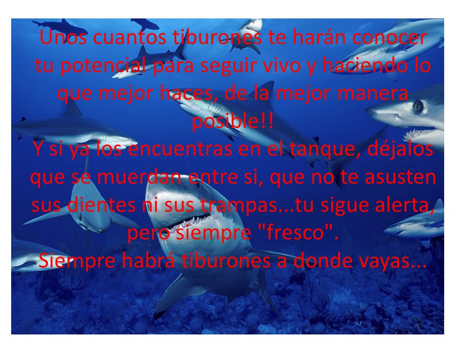 Unos cuantos tiburones te harán conocer tu potencial para seguir vivo y haciendo lo que mejor haces, de la mejor manera posible!.