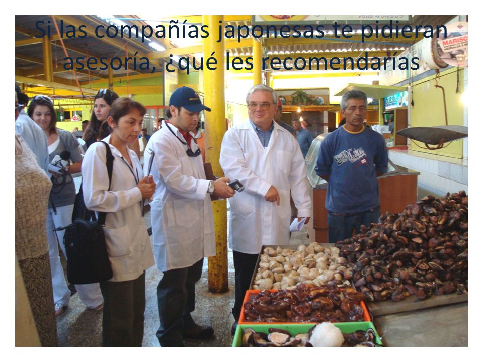 Si las compañías japonesas te pidieran asesoría, ¿qué les recomendarías