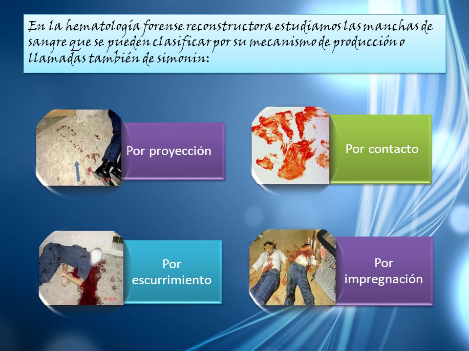 En la hematología forense reconstructora estudiamos las manchas de sangre que se pueden clasificar por su mecanismo de producción o llamadas también de simonin: