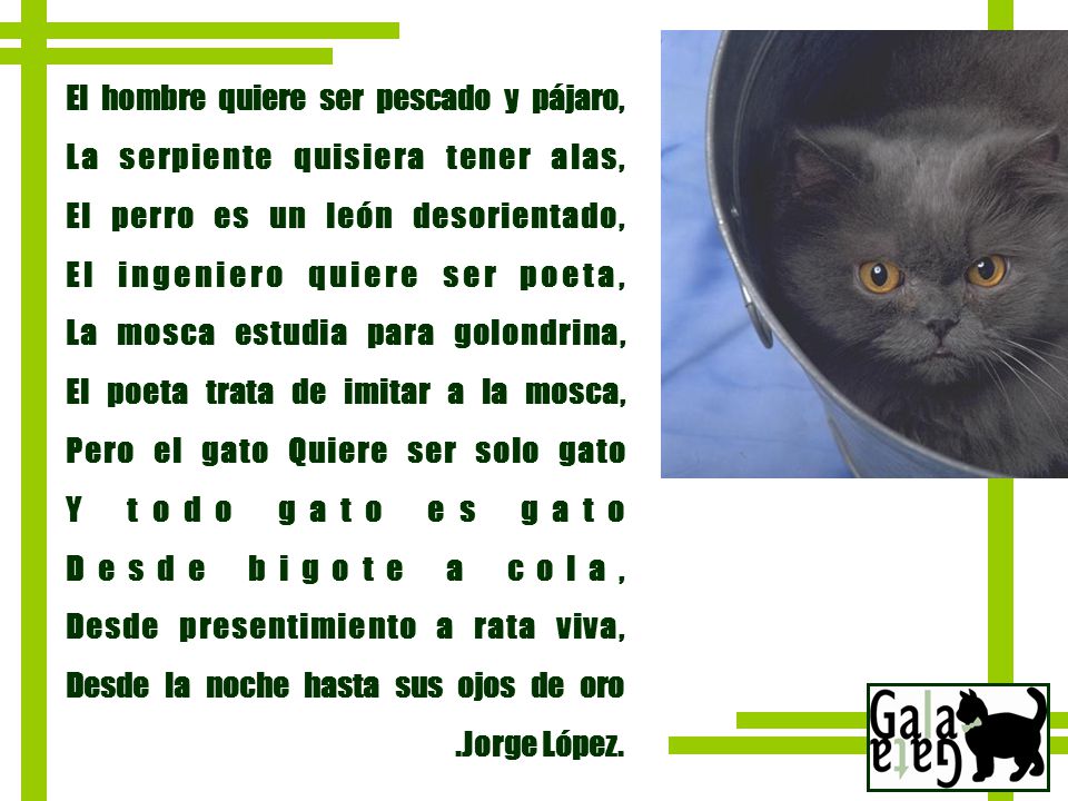 El gato en la literatura - ppt descargar