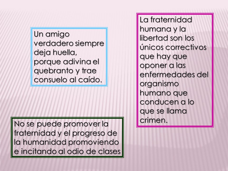 La fraternidad humana y la libertad son los únicos correctivos que hay que oponer a las enfermedades del organismo humano que conducen a lo que se llama crimen.