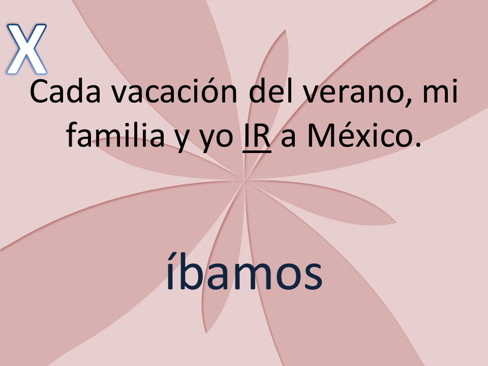 Cada vacación del verano, mi familia y yo IR a México.