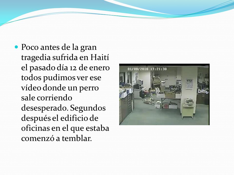 Poco antes de la gran tragedia sufrida en Haití el pasado día 12 de enero todos pudimos ver ese vídeo donde un perro sale corriendo desesperado.