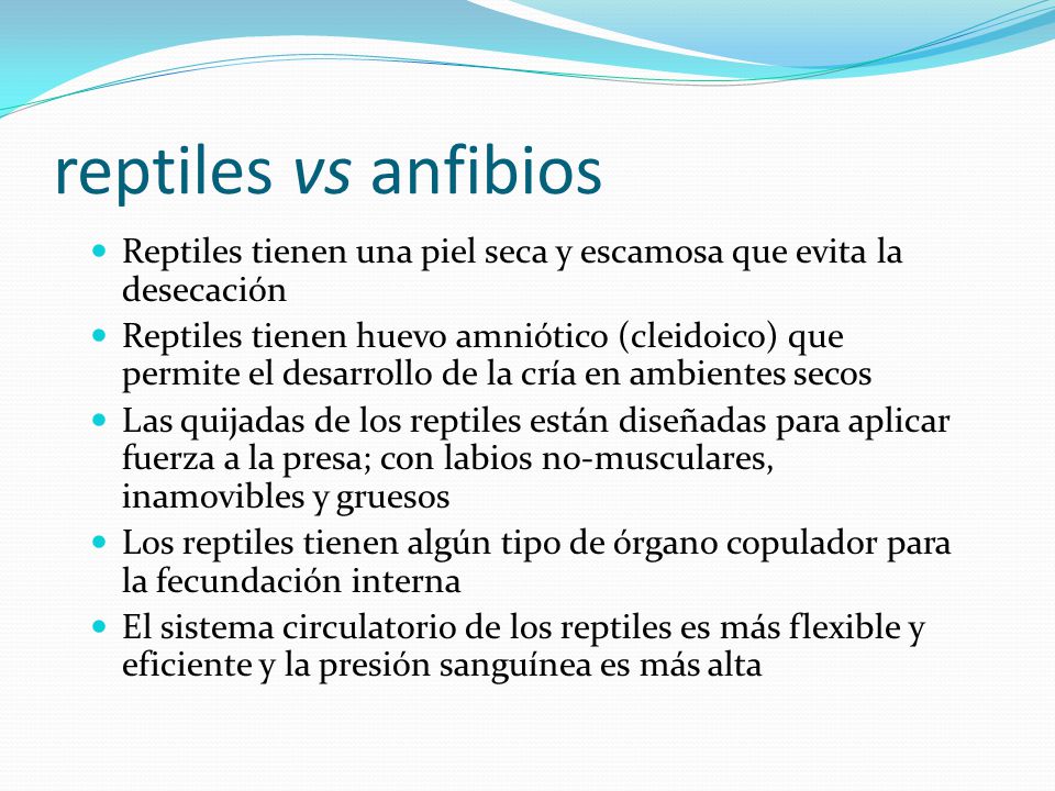 reptiles vs anfibios Reptiles tienen una piel seca y escamosa que evita la desecación.