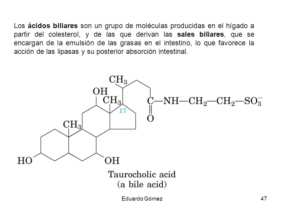 Los ácidos biliares son un grupo de moléculas producidas en el hígado a partir del colesterol, y de las que derivan las sales biliares, que se encargan de la emulsión de las grasas en el intestino, lo que favorece la acción de las lipasas y su posterior absorción intestinal.