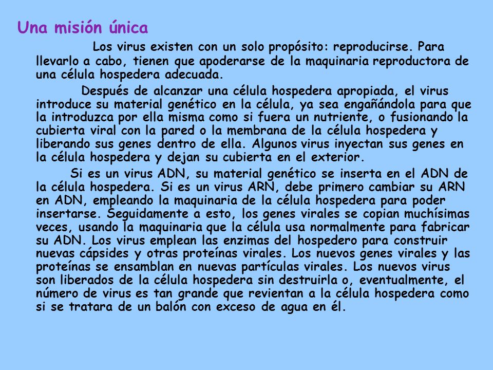 Una misión única Los virus existen con un solo propósito: reproducirse