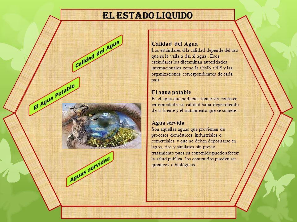 El estado liquido Calidad del Agua El Agua Potable Aguas servidas