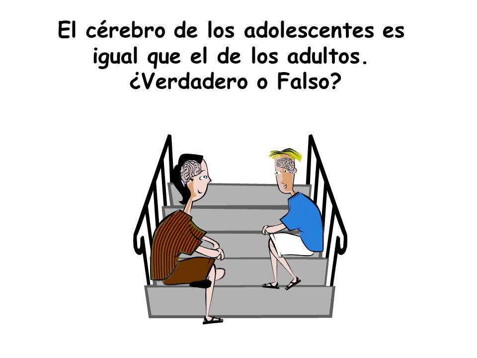 El cérebro de los adolescentes es igual que el de los adultos.