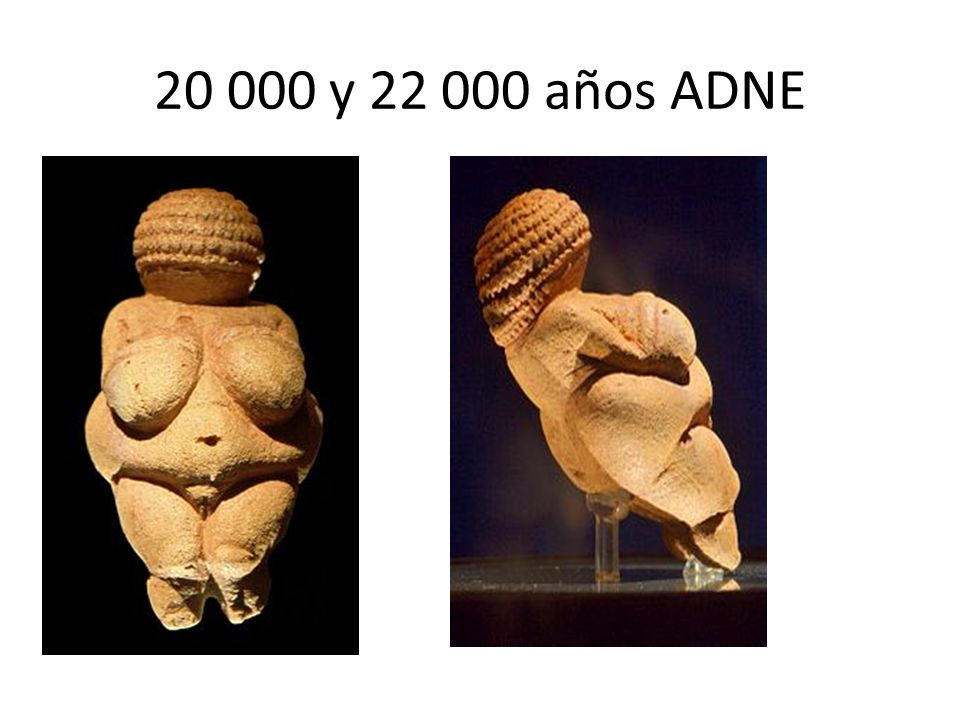 y años ADNE Venus de Willendorf, tallada en piedra caliza oolítica Danubio Viena
