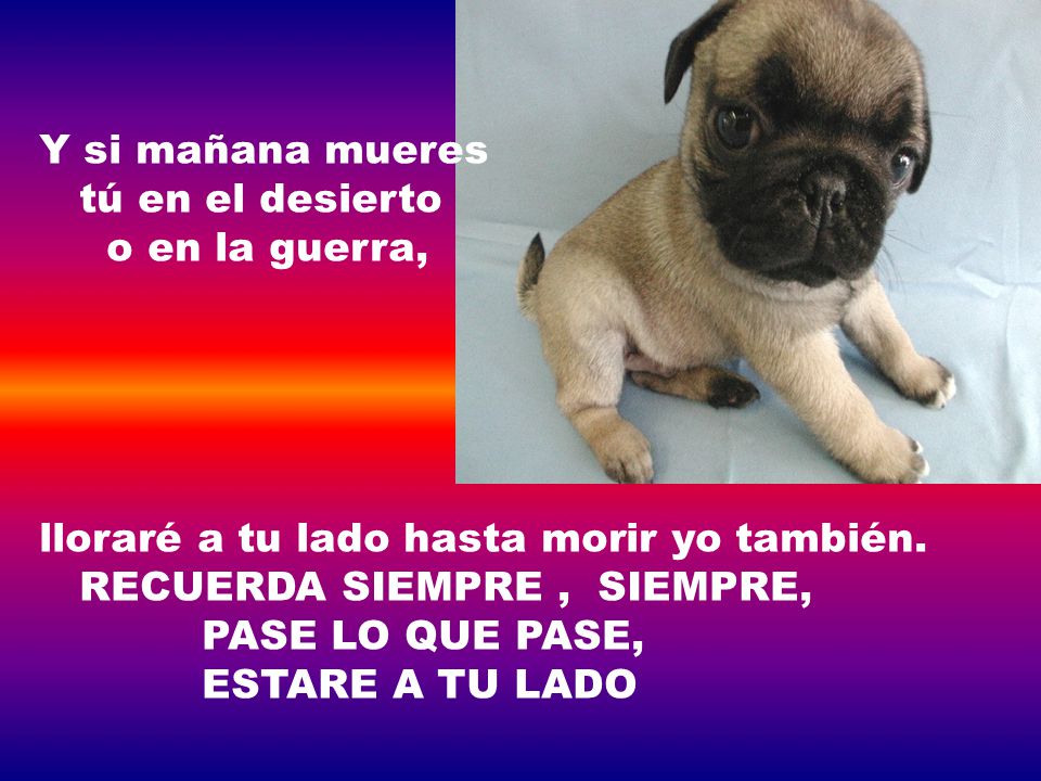 Y si mañana mueres tú en el desierto. o en la guerra, lloraré a tu lado hasta morir yo también. RECUERDA SIEMPRE , SIEMPRE,