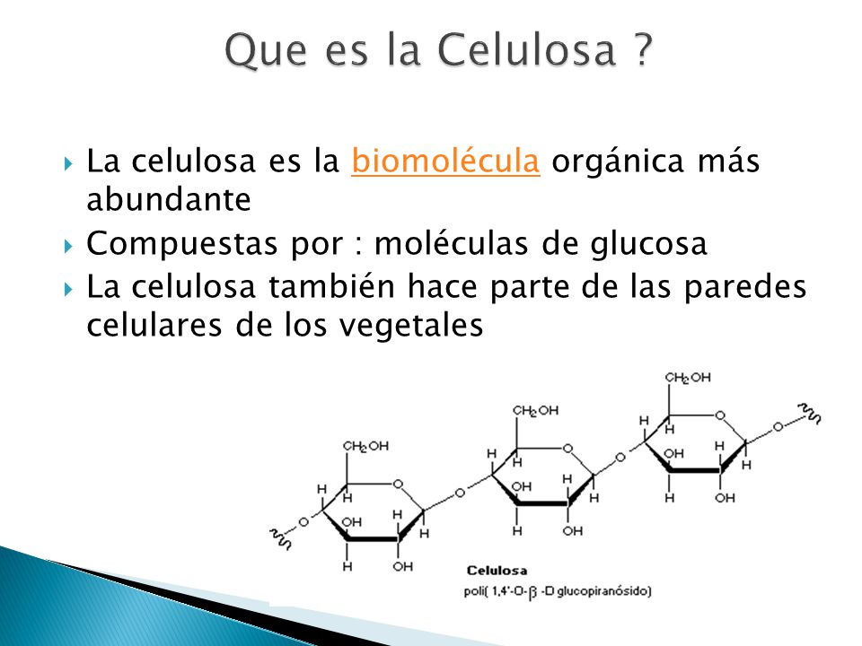 Que es la Celulosa La celulosa es la biomolécula orgánica más abundante. Compuestas por : moléculas de glucosa.