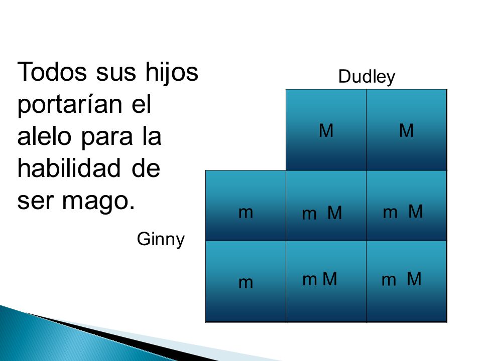 Todos sus hijos portarían el alelo para la habilidad de ser mago.