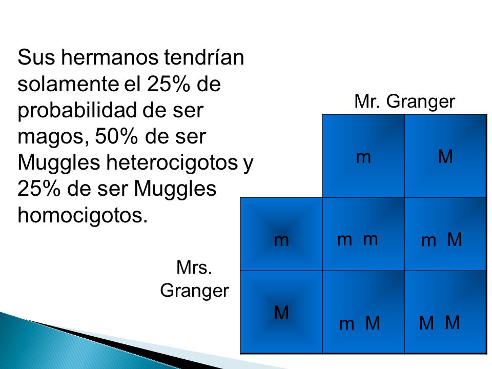 Sus hermanos tendrían solamente el 25% de probabilidad de ser magos, 50% de ser Muggles heterocigotos y 25% de ser Muggles homocigotos.