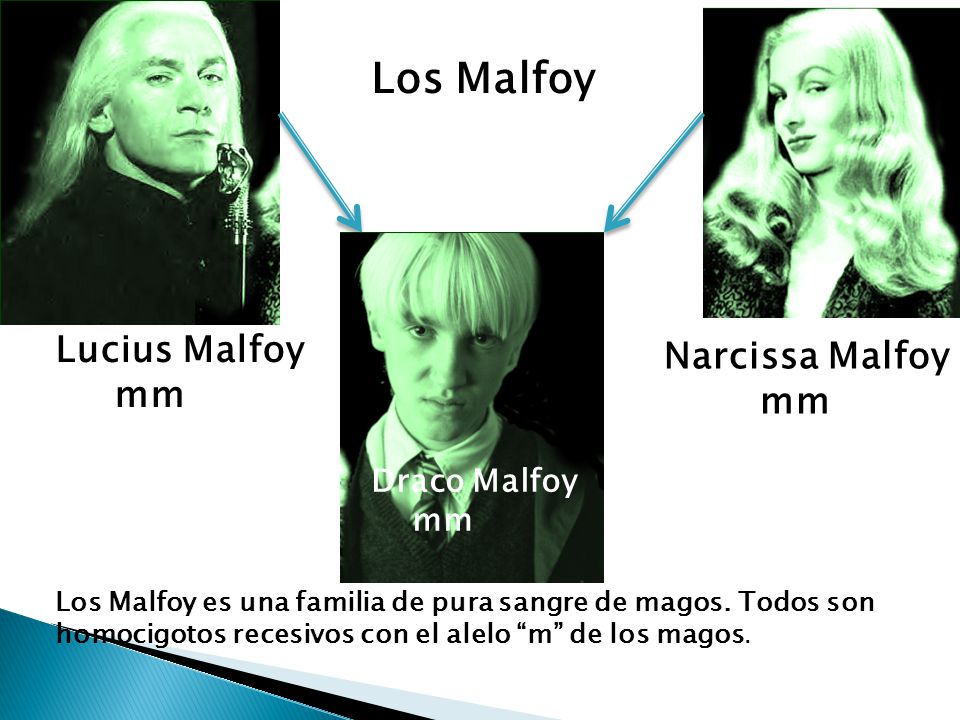 Los Malfoy Lucius Malfoy Narcissa Malfoy mm mm Draco Malfoy mm