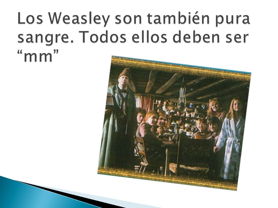 Los Weasley son también pura sangre. Todos ellos deben ser mm