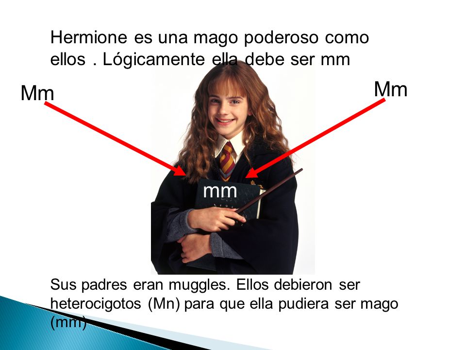 Hermione es una mago poderoso como ellos . Lógicamente ella debe ser mm