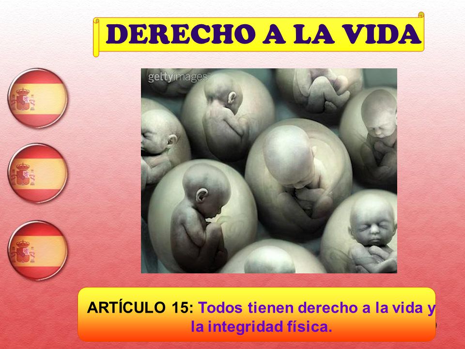 ARTÍCULO 15: Todos tienen derecho a la vida y la integridad física.