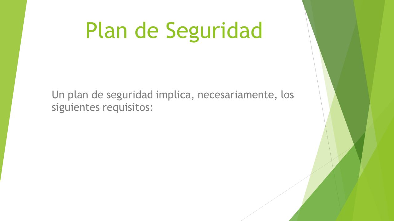 Plan de Seguridad Un plan de seguridad implica, necesariamente, los siguientes requisitos: