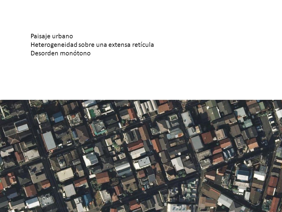 Paisaje urbano Heterogeneidad sobre una extensa retícula Desorden monótono