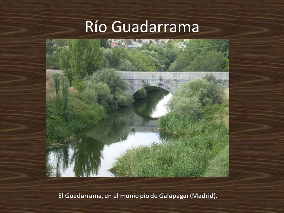 Río Guadarrama El Guadarrama, en el municipio de Galapagar (Madrid).