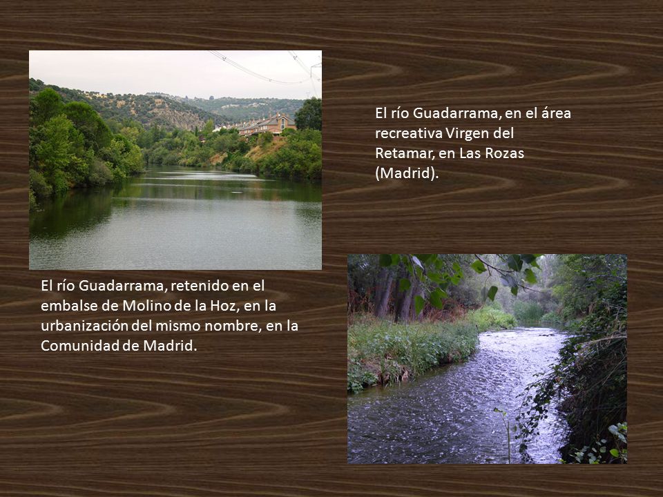 El río Guadarrama, en el área recreativa Virgen del Retamar, en Las Rozas (Madrid).