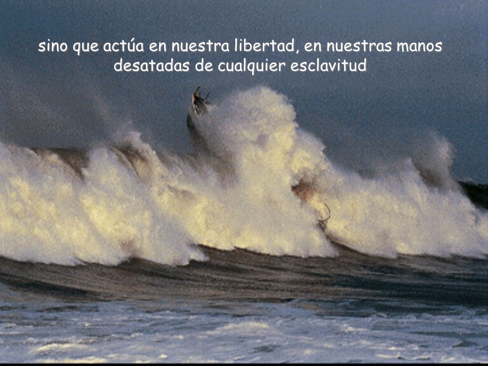 sino que actúa en nuestra libertad, en nuestras manos desatadas de cualquier esclavitud
