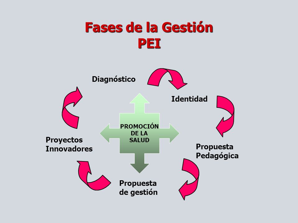 Fases de la Gestión PEI Diagnóstico Identidad Proyectos Innovadores